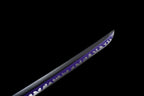 Celestial Serpent Katana  天蛇刀